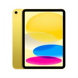 10.9-IPAD WIFICELL 256G 10GE